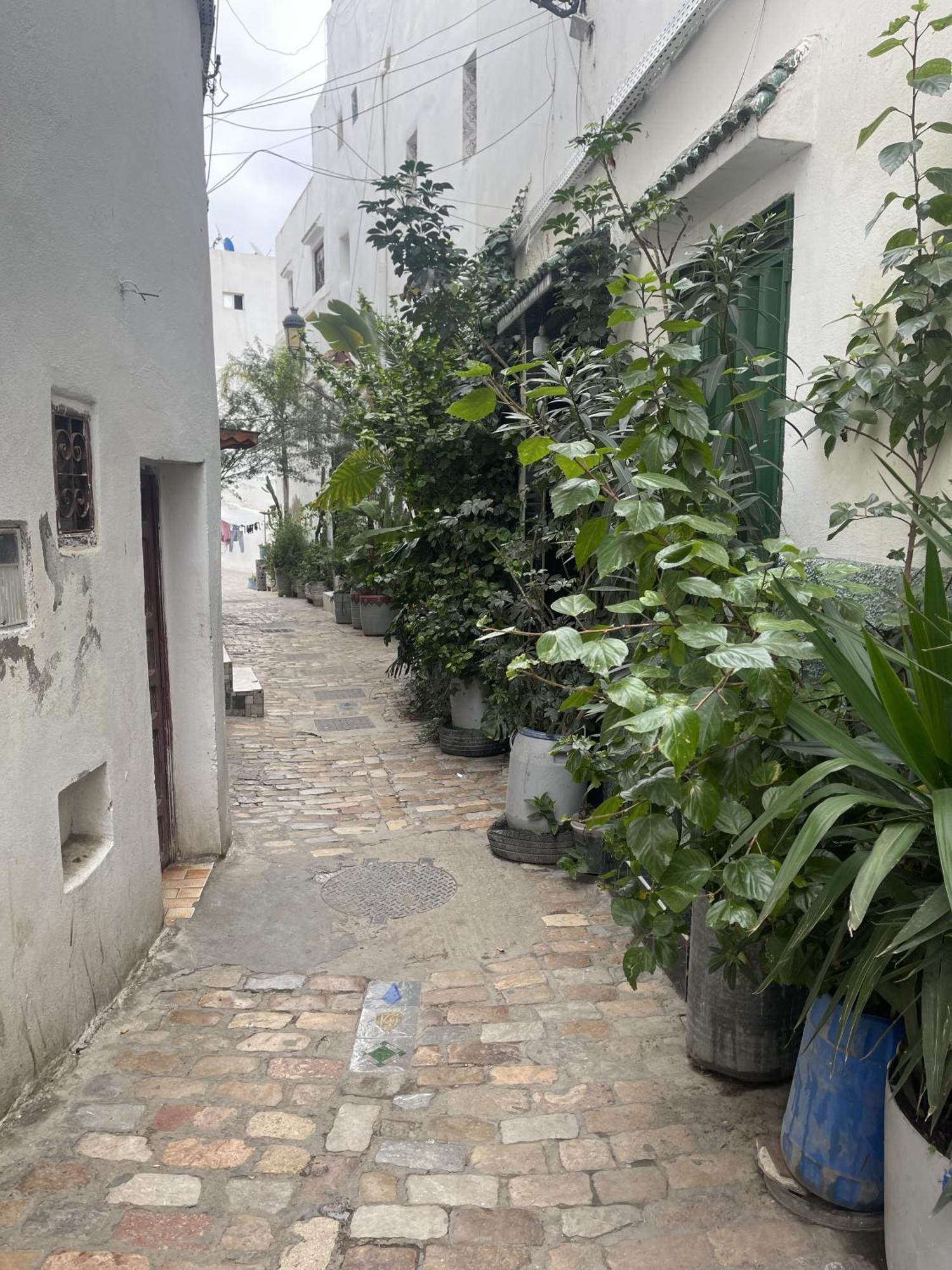 Casa Marwan Vandrehjem Tétouan Eksteriør billede